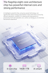 AI13 Pad pro