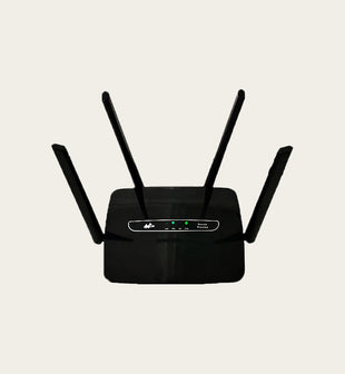 C300 4G SIM wireless router